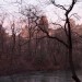 24. 5 pm in central park thumbnail