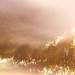 47. view from a carriage, central park 111 thumbnail