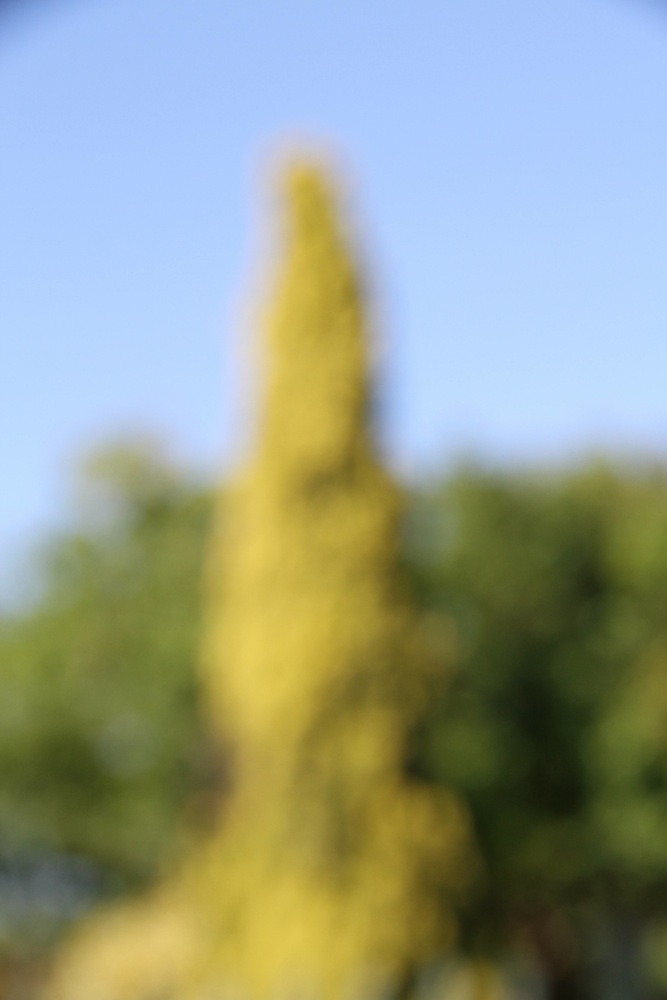 lallemand, blaide untitled 8